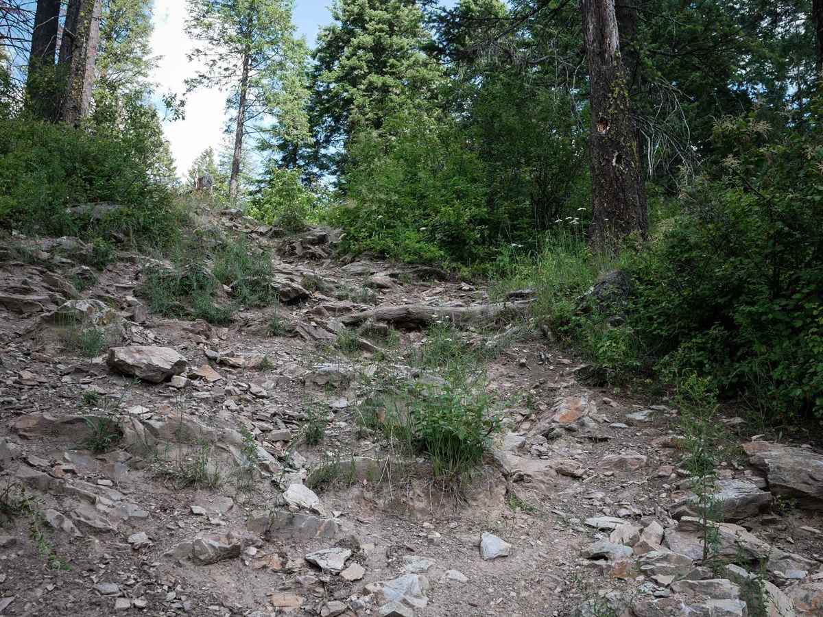 Canfield Mountain- Trail D photo 5