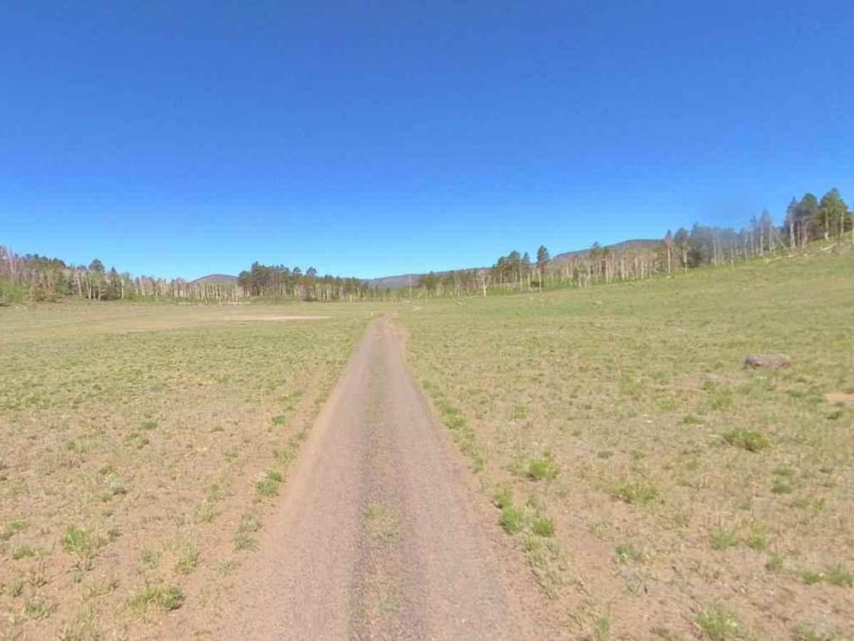 Sweetwater-NFS30494 photo 6