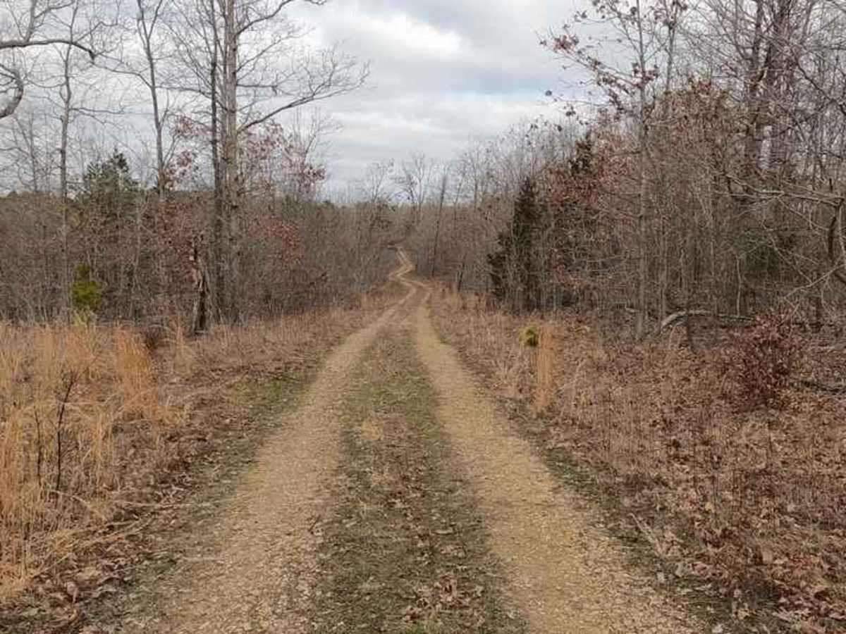 Grounds Creek FSR 2068 photo 2
