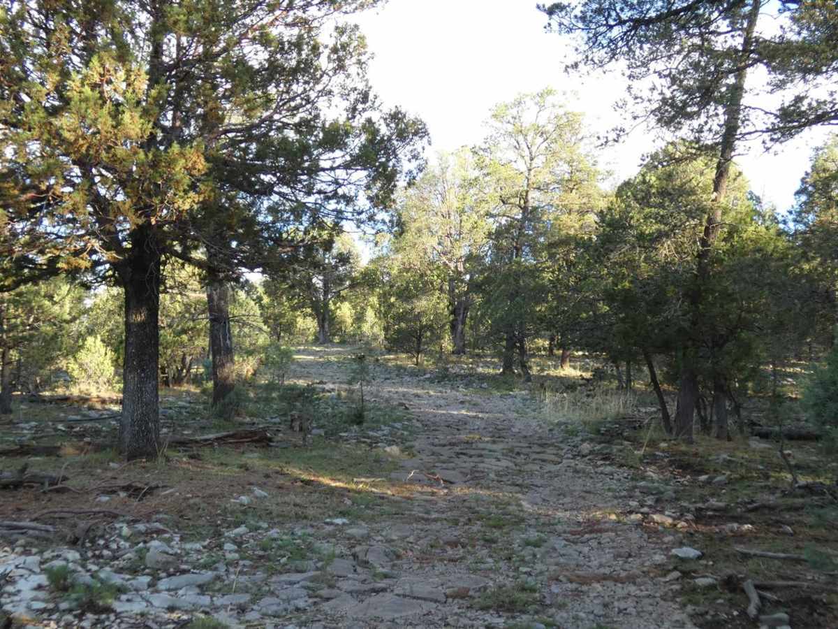 James Ridge photo 2