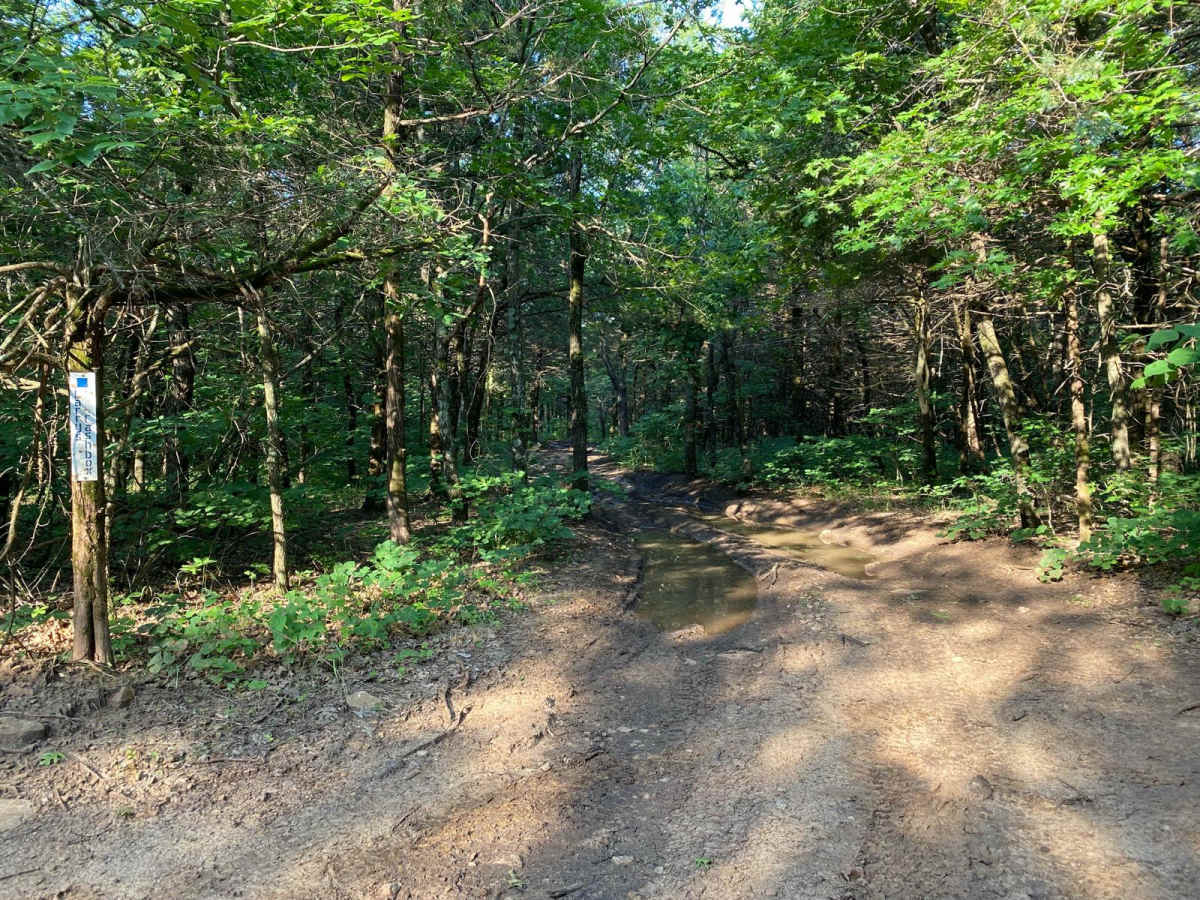 Larry's Cash Box trail photo