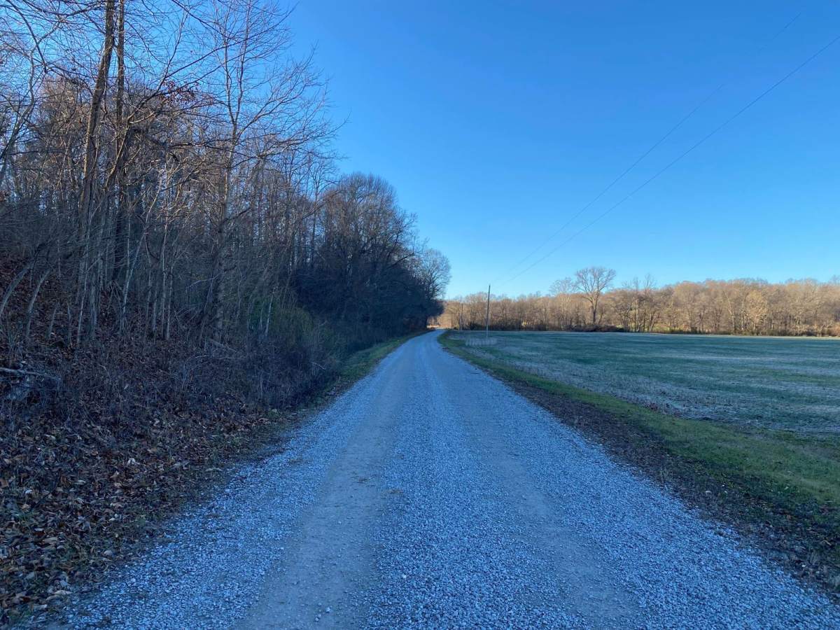Lingle Creek Road photo 3