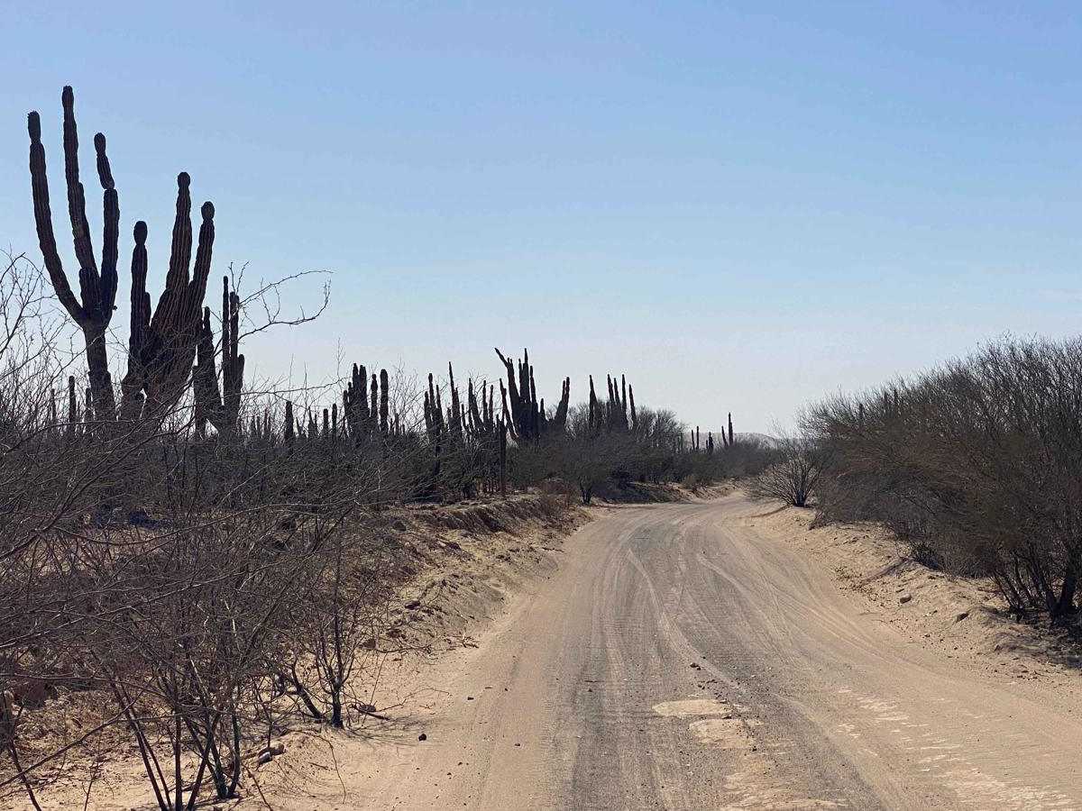 Camino Ramal Santa Fe photo 6