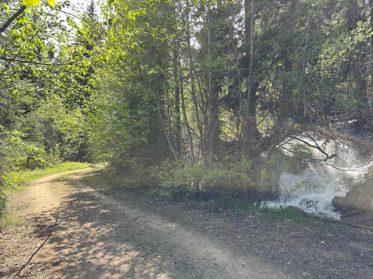 Pierce Creek photo 6