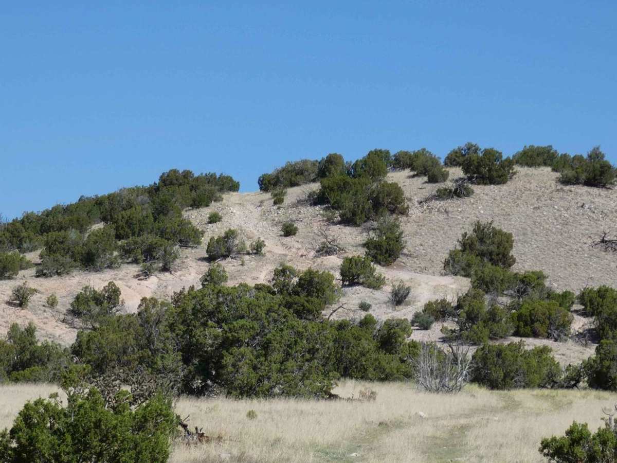 Sierra Negra Canyon trail photo