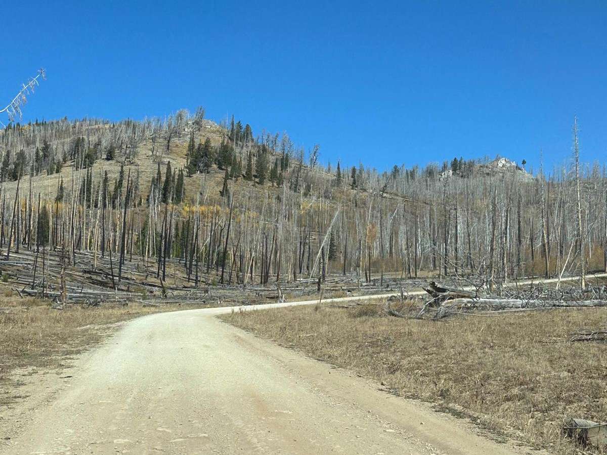 South Piney Creek photo 4