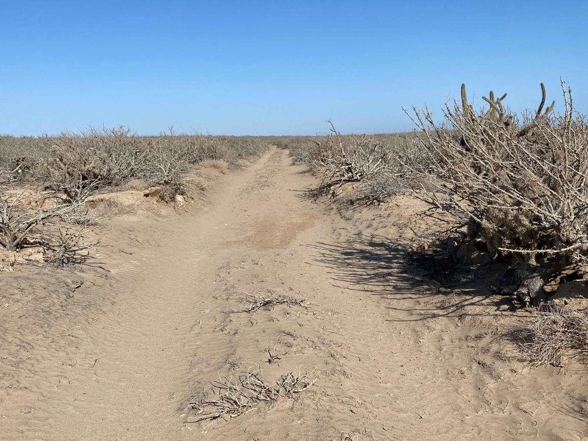 Playa Loop photo 6