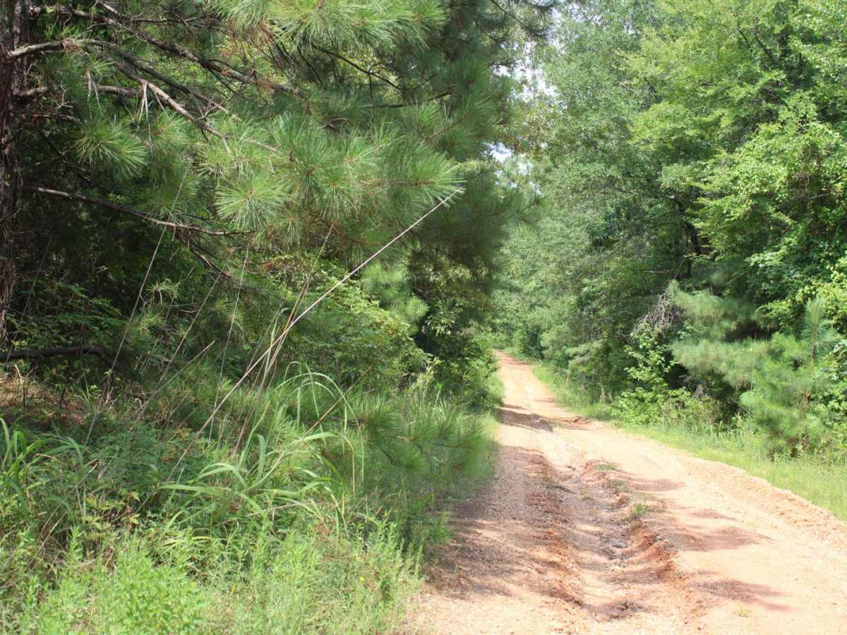 Hempstead Road 421 photo 2