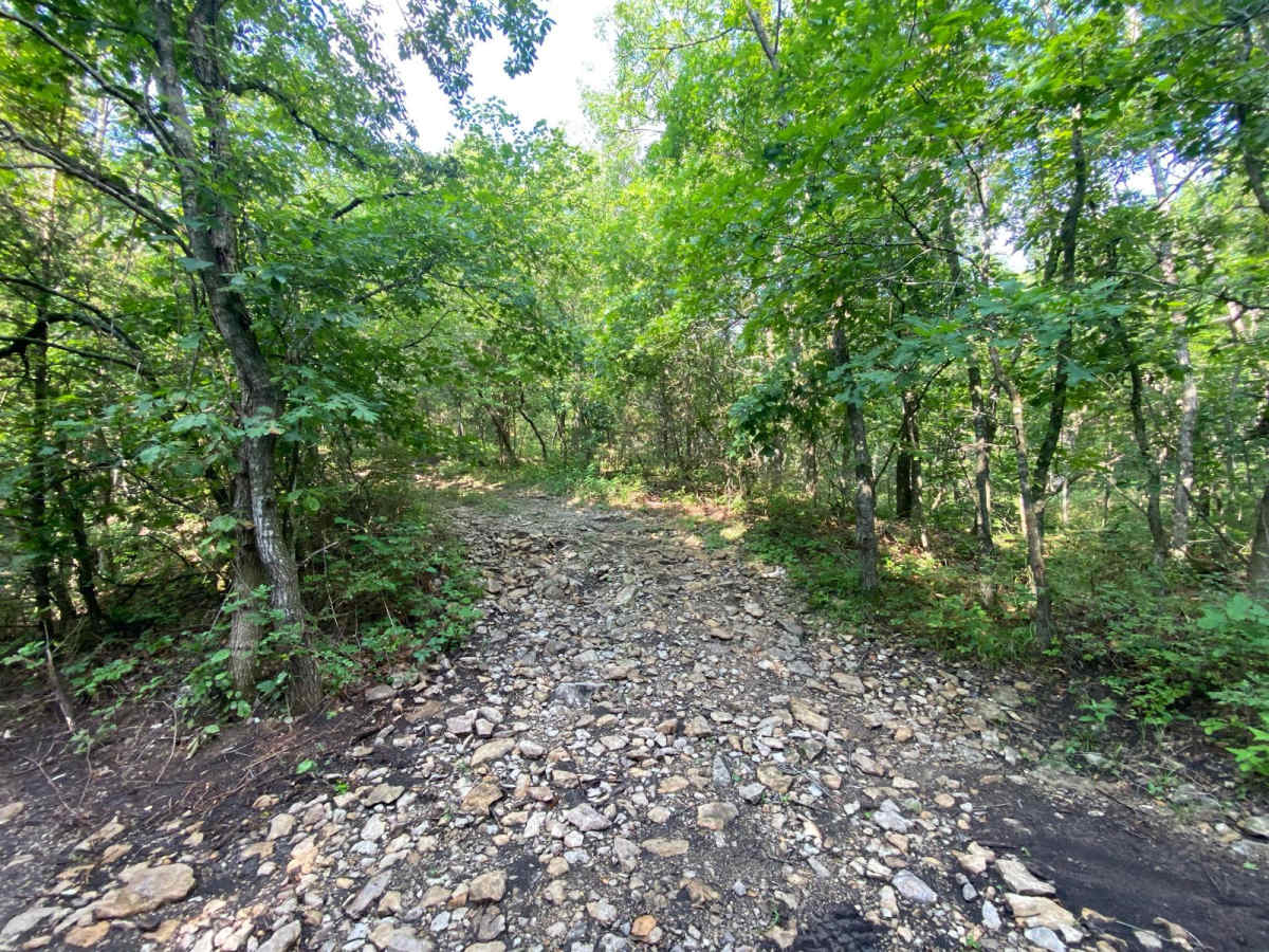 S Loop trail photo