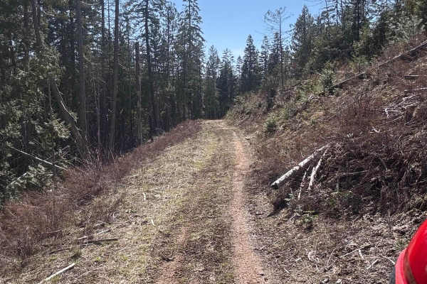 Korth Trail