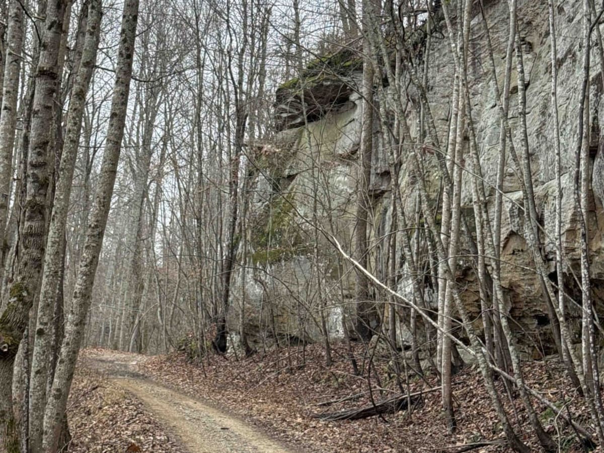 Sand Gap Road (FSR 731) photo 6