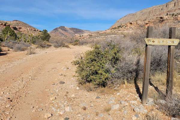 Jump Canyon - BLM 1033
