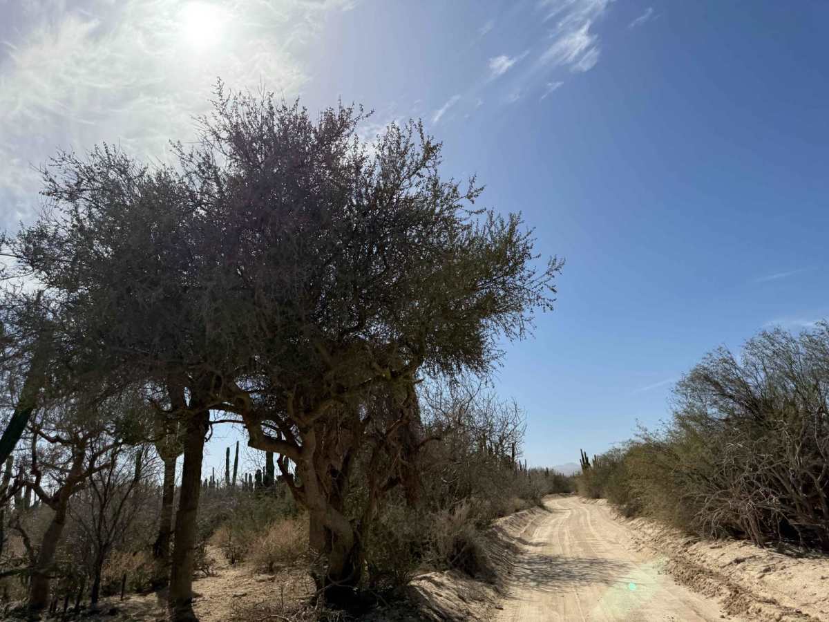 Rancho del Camino photo 4