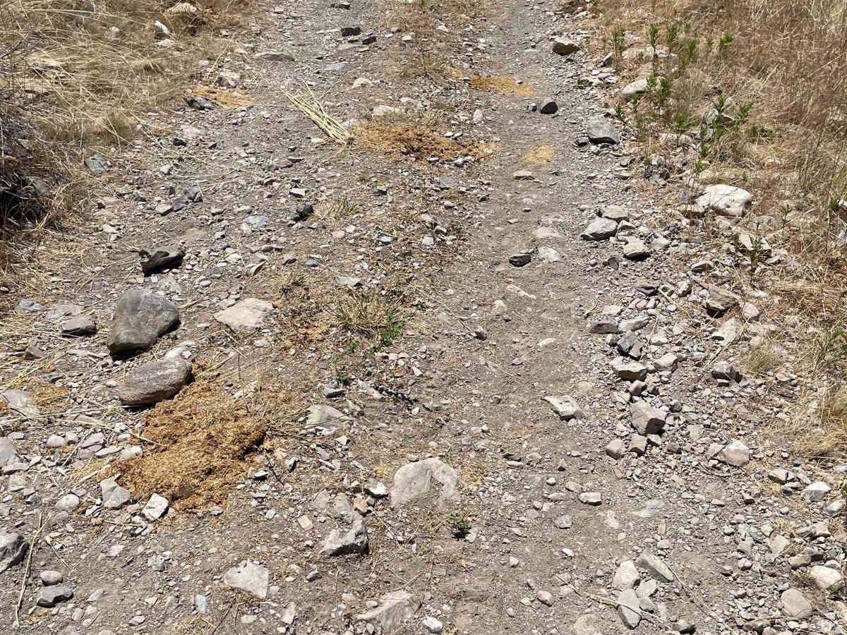 The Bunker Trail photo 6