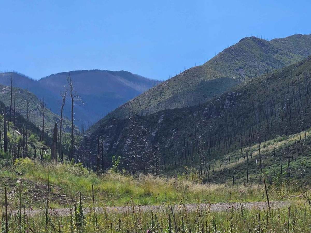 Bonita Lake South Fork Road trail photo