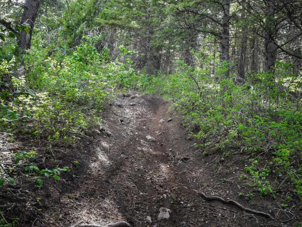 Clifton Basin to Weston Peak ATV 7433 (Part 1) photo 5