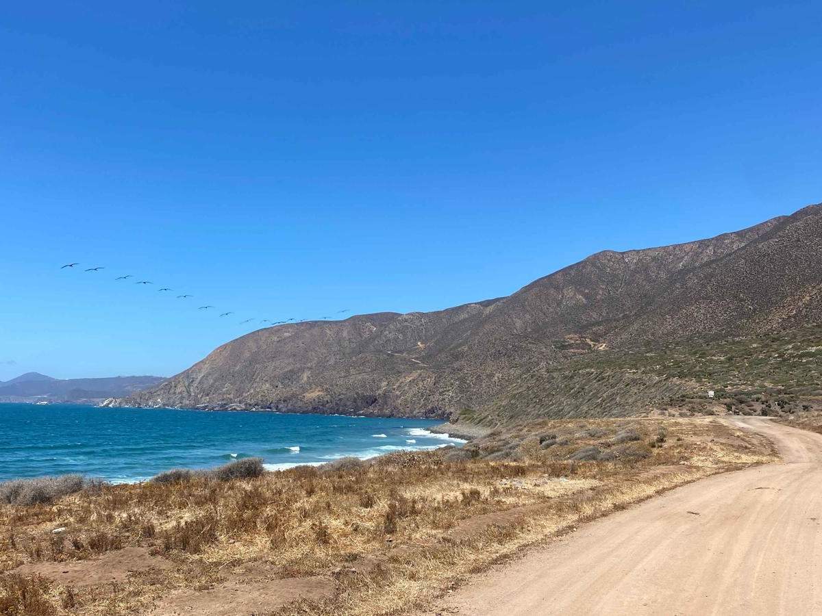 Coastal Route to Bahia Soledad photo 3