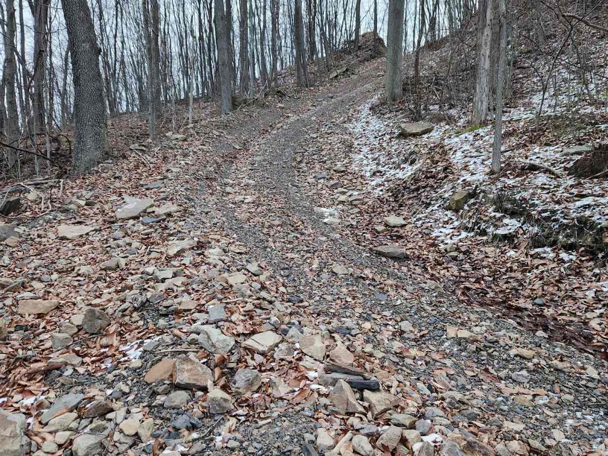 Big Rock - Rock Run Recreation Area photo 5