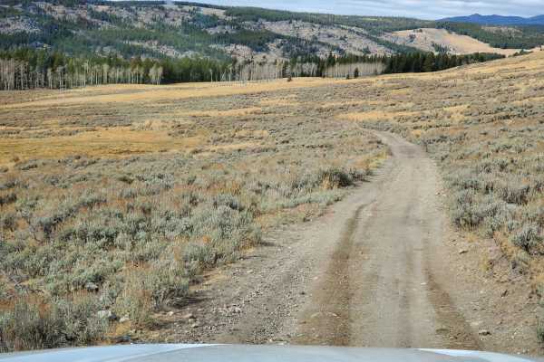 Web Creek Loop