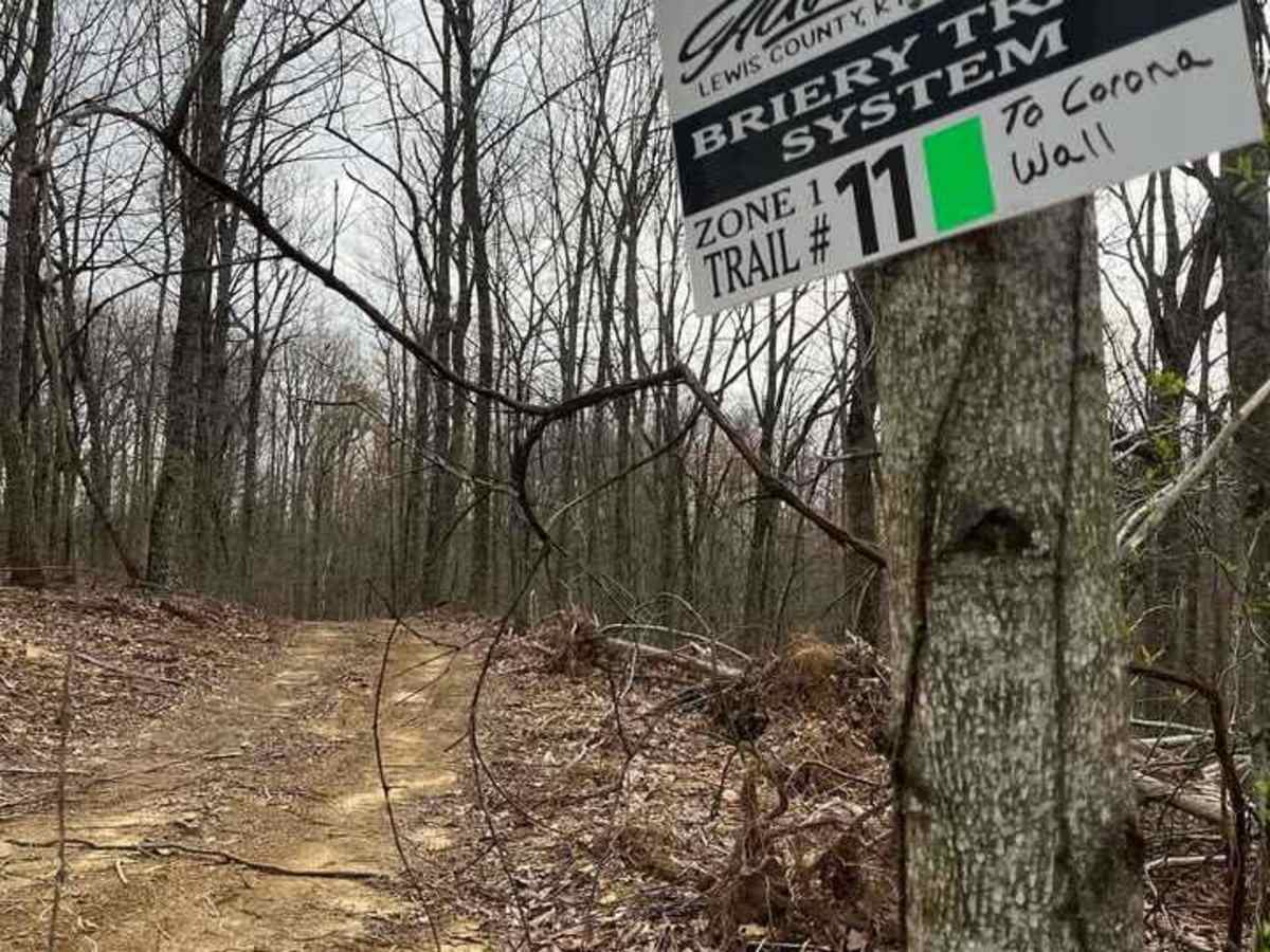 Trail 11 photo 2