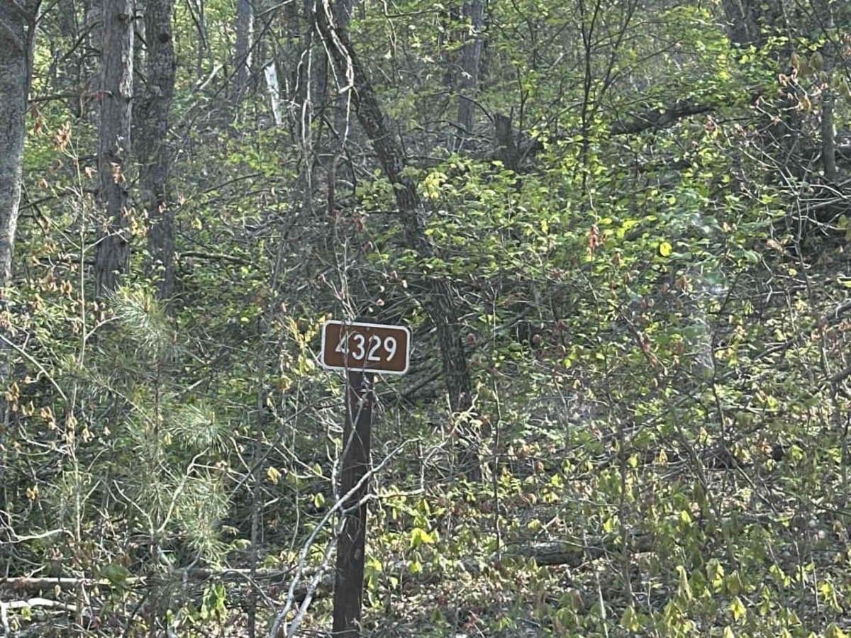 FS 4329 trail photo