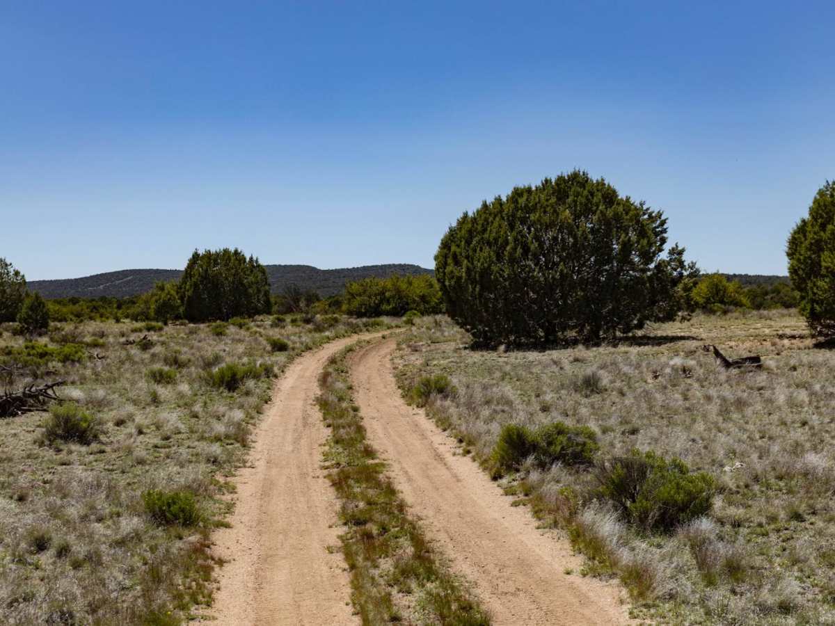 Javelina Camp photo 3