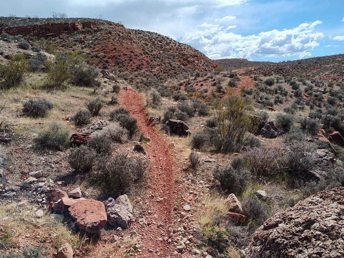 Edge of the World - Single Track trail photo