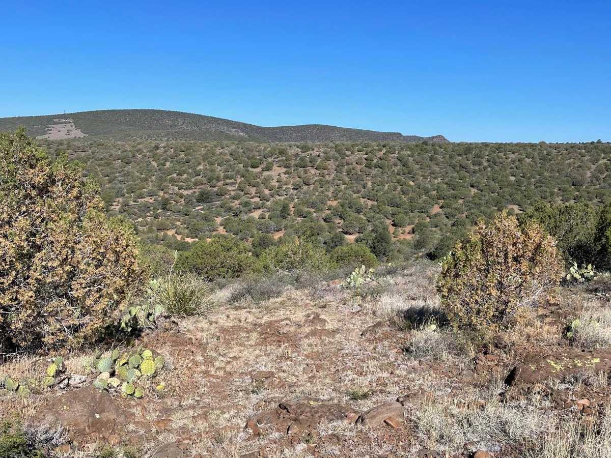 Grief Hill Climb trail photo