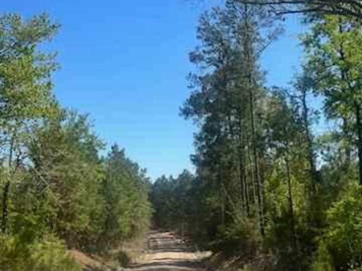 Winnfield Road photo 4