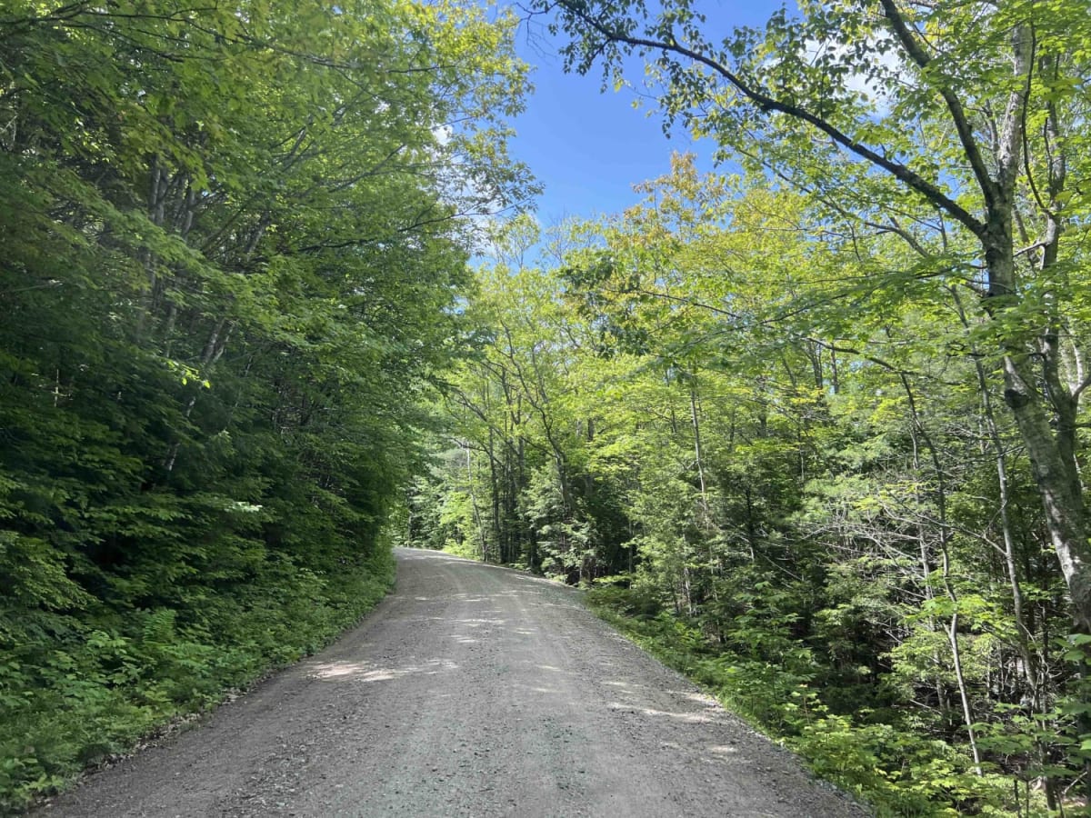 Wild River Road photo 5