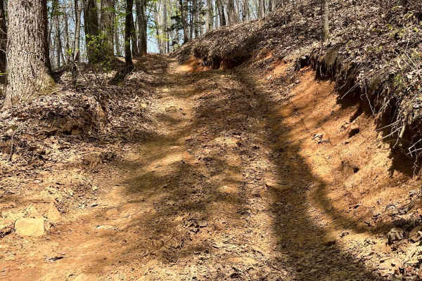 Beasley Knob