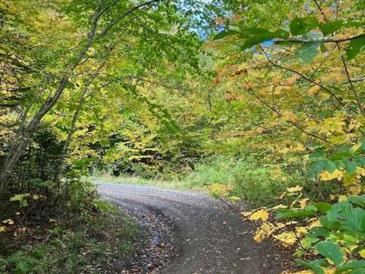 Cape Mabou Road trail photo