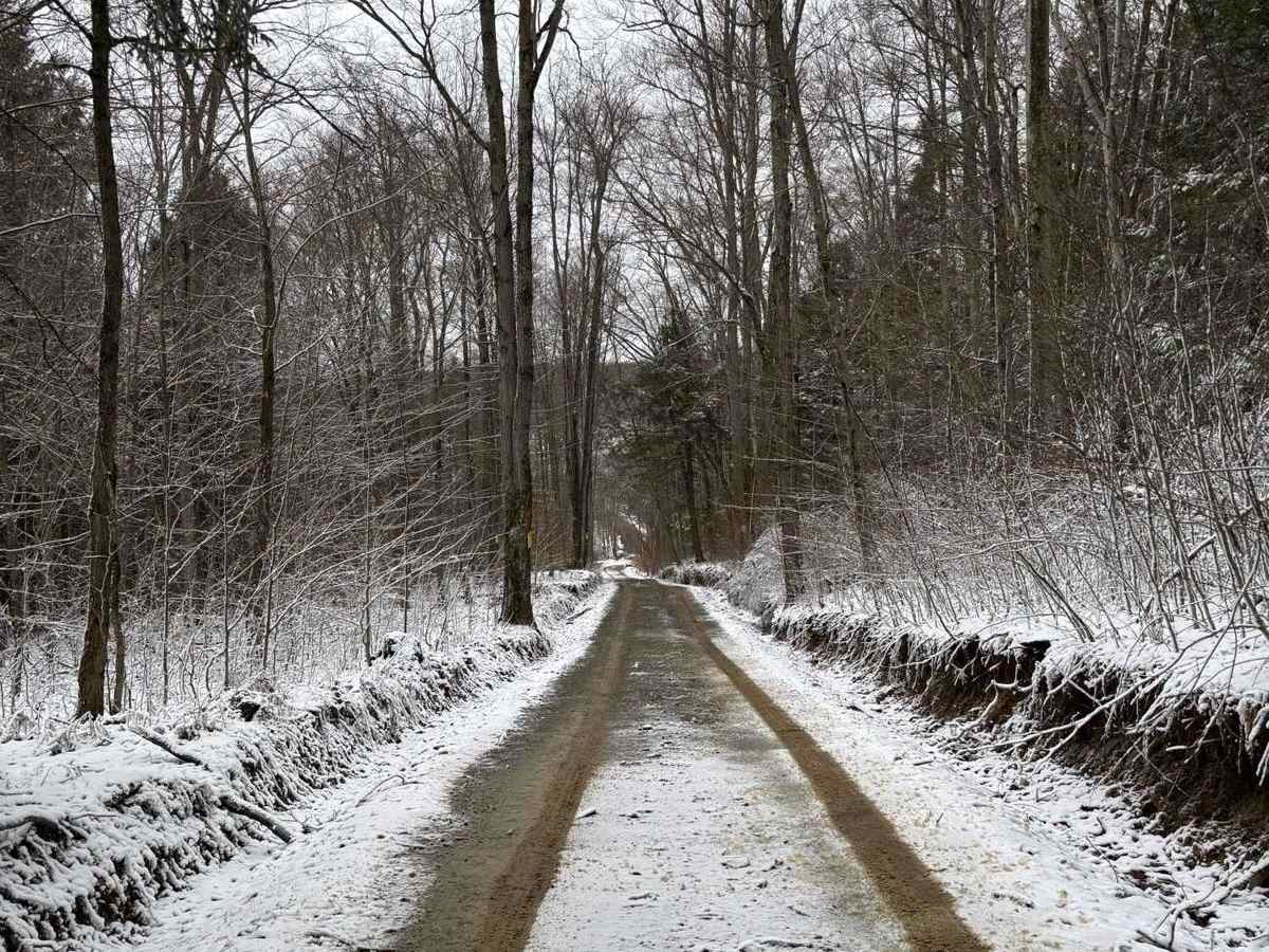 Reeves Road photo 5