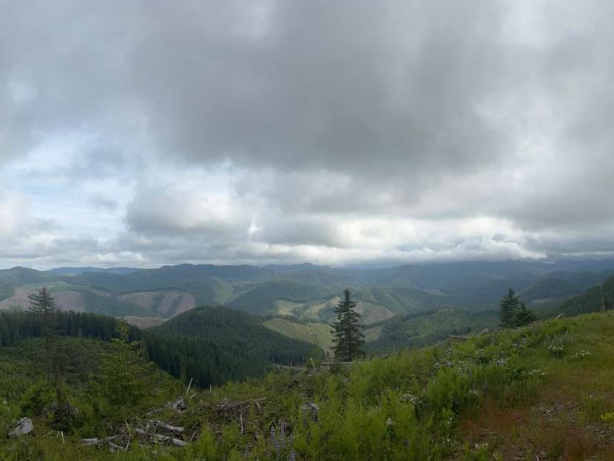 Murphy Guard Station Loop photo 2