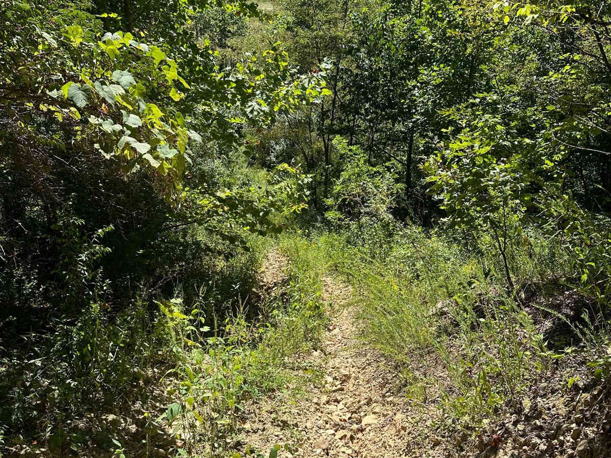 202 photo 3