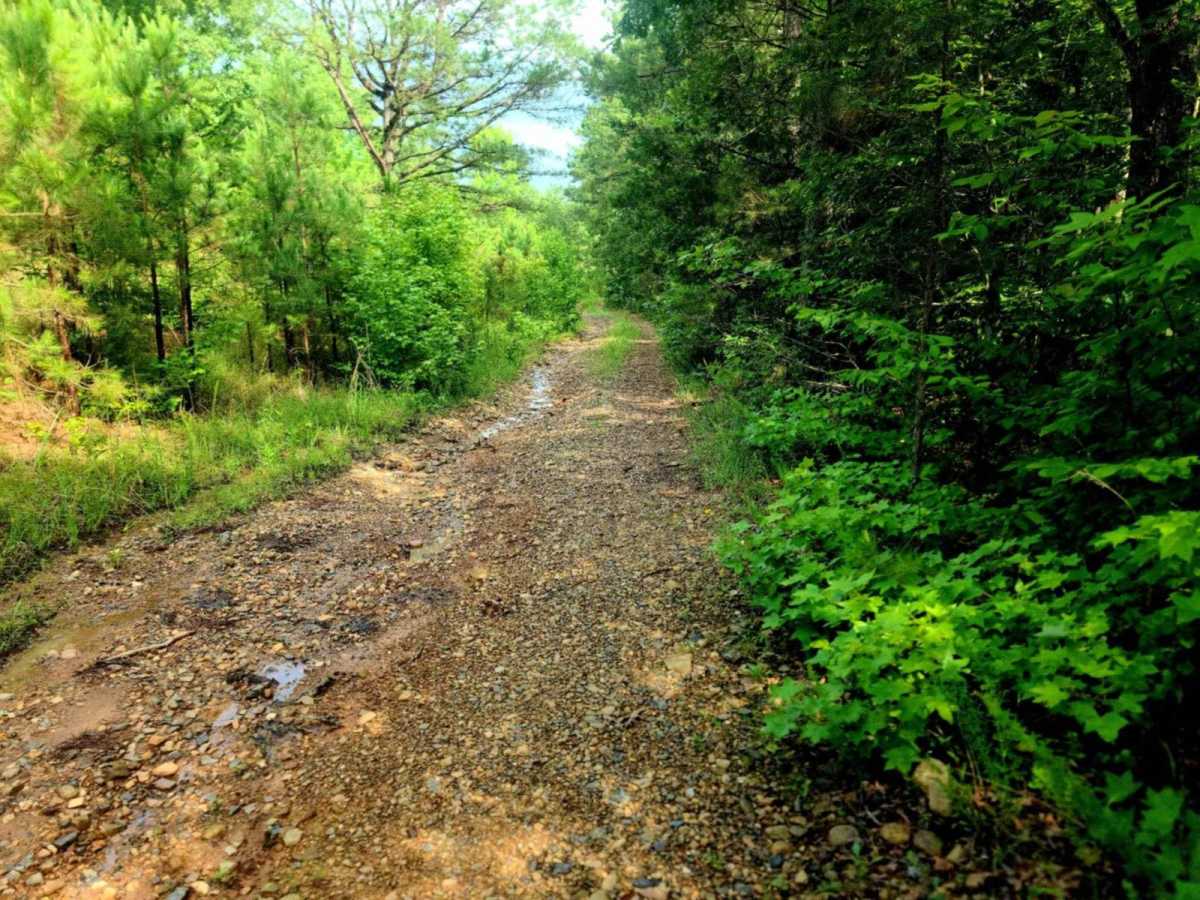 Nesbitt Creek Spur - 498 photo 4