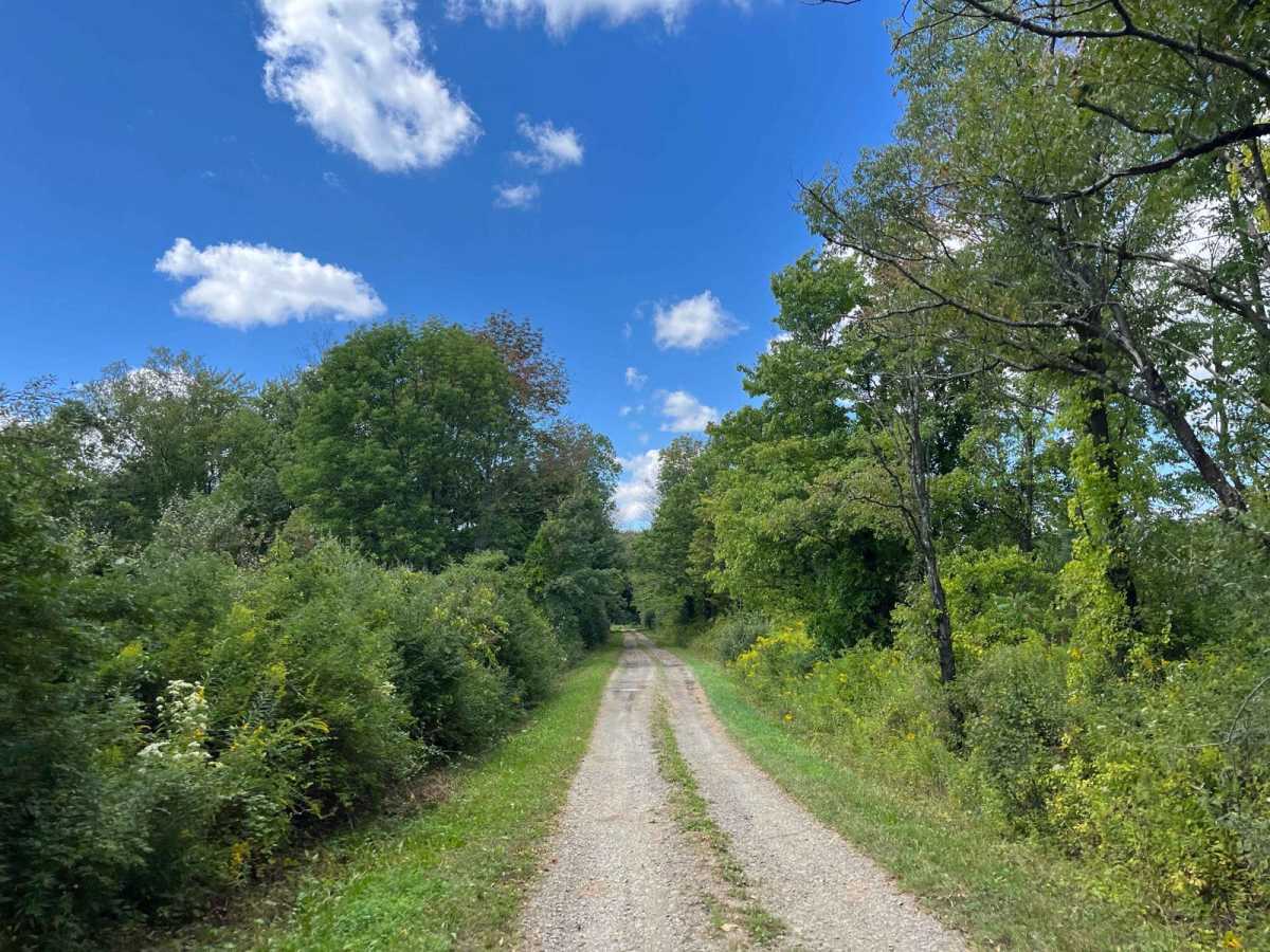 Hulford Road trail photo