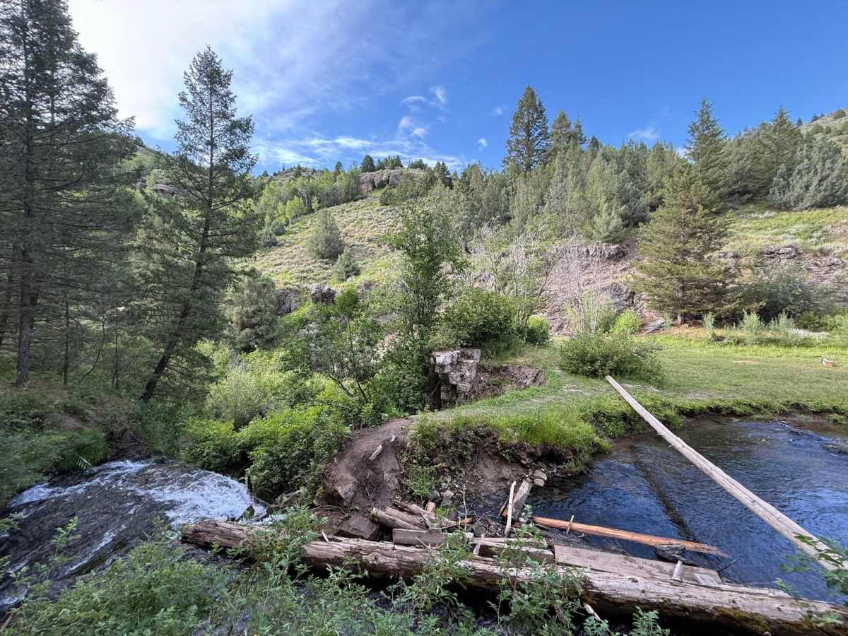 Webster Dam trail photo
