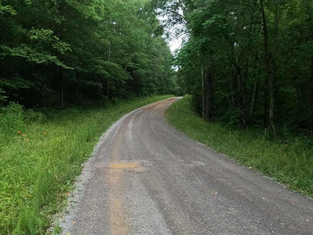 Tharpe Road FSR 221 photo 3