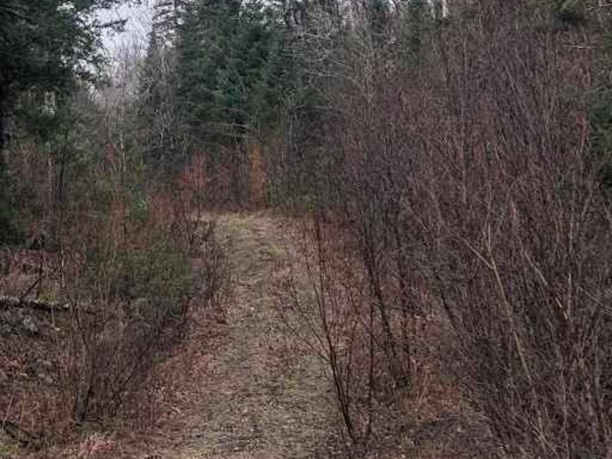 Softwood Weave trail photo