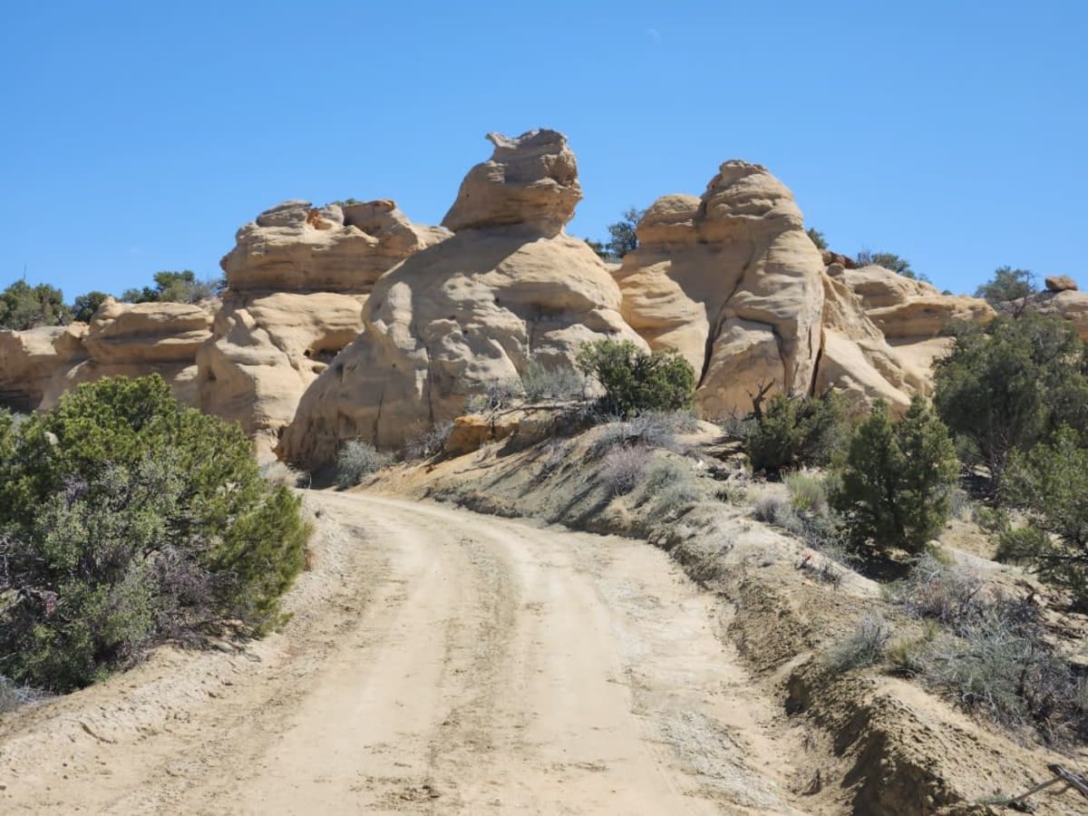 Glade North - Upper Mesa Trail photo 3