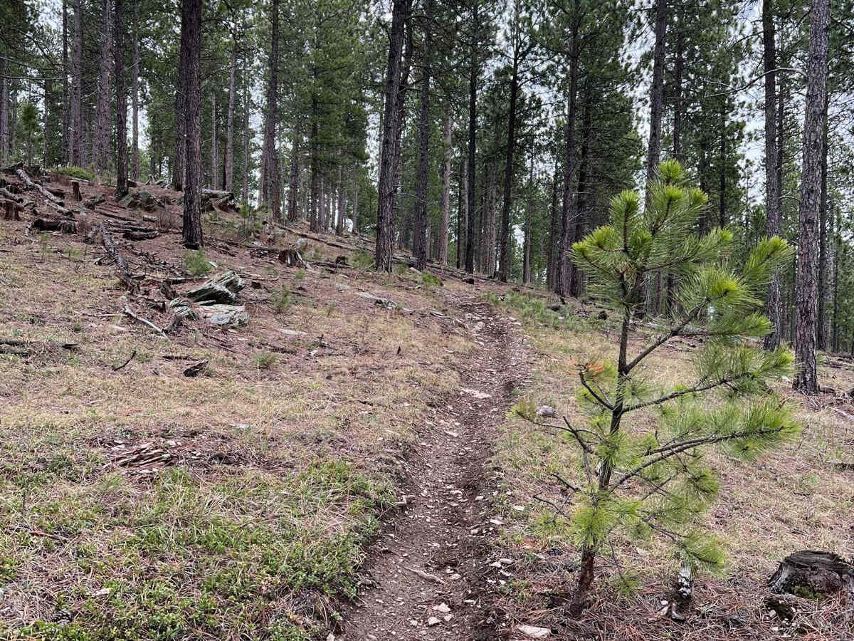 Dirt Bike Friendly Highway 385 photo 3