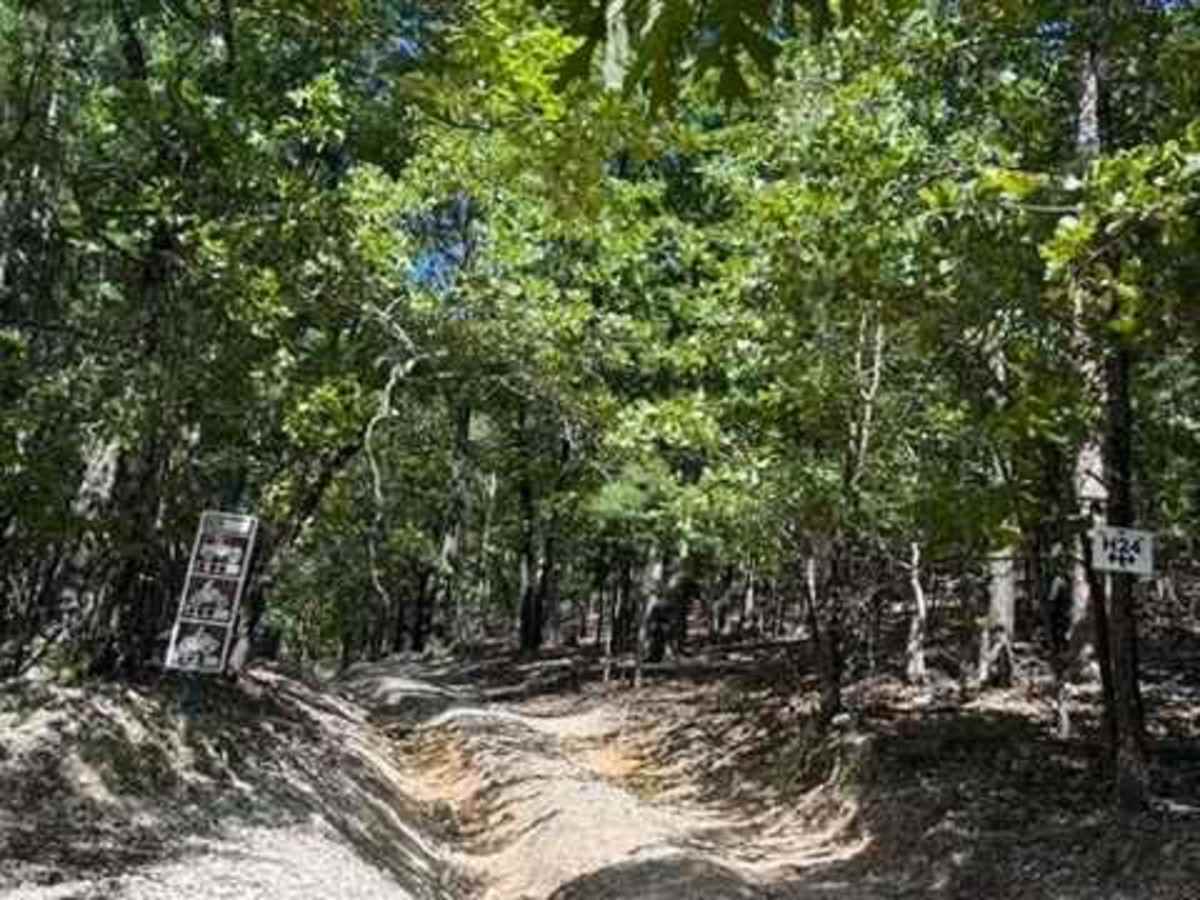 H24 trail photo