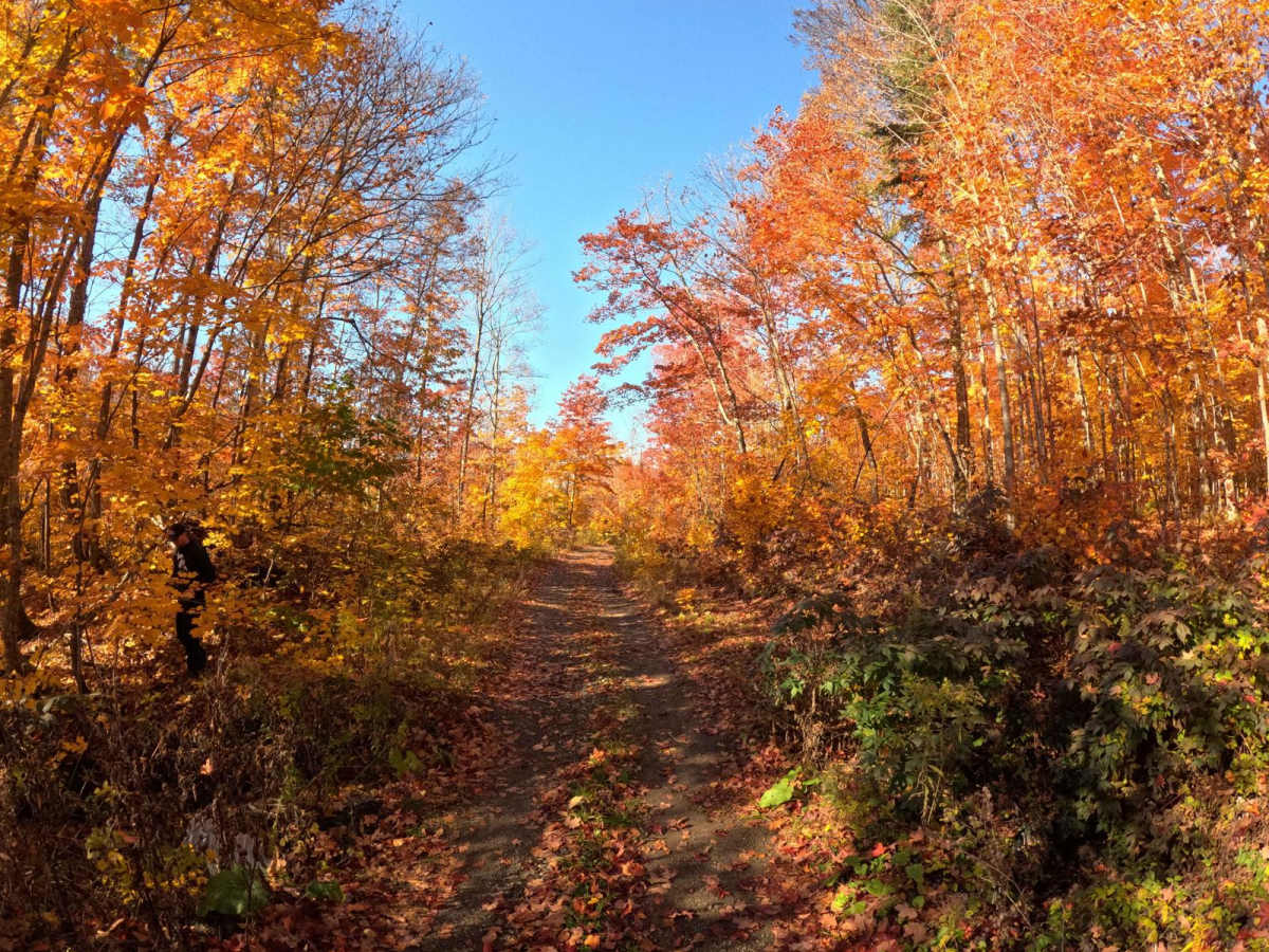 North Carp Lake Road (Tribag mine Alternate) photo 5