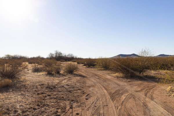 Winding Creosote