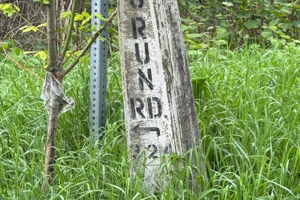 Dog Run Road