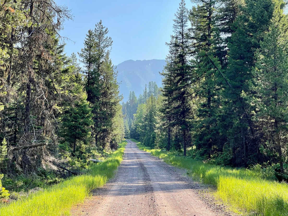 Morrell- Clearwater Lake photo 6