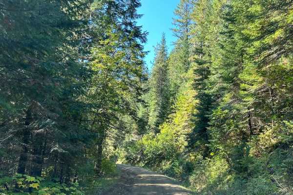 NSFDR 985 Slate Creek Bypass