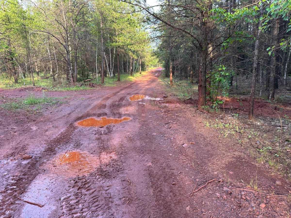 Red Hills East photo 6