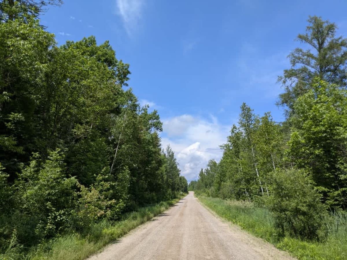 Brown Road photo 5